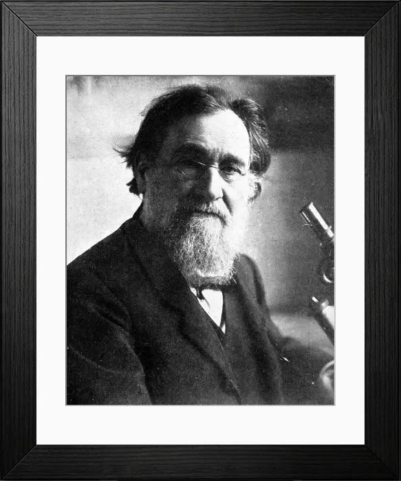 Framed Print : Professor Elie Metchnikoff Iln Import 21 Dec Framed Print : Professor Elie Metchnikoff Iln Import 21 Dec