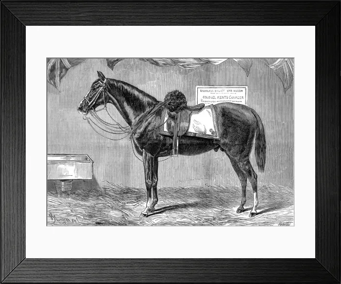 Framed Print : Colonel Kents Horse, 1875