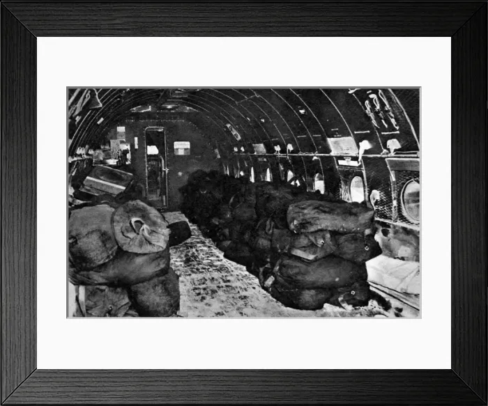 Framed Print : Interior of a Transport Airplane filled with coal, 1948