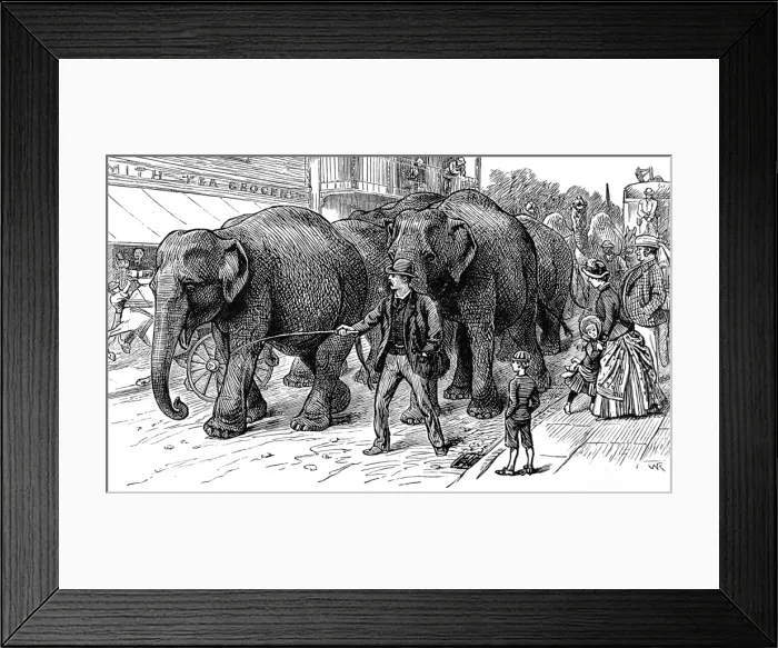 Framed Print : Circus Elephants arriving in an English country town, c. 1886 Framed Print : Circus Elephants arriving in an English country town, c. 1886