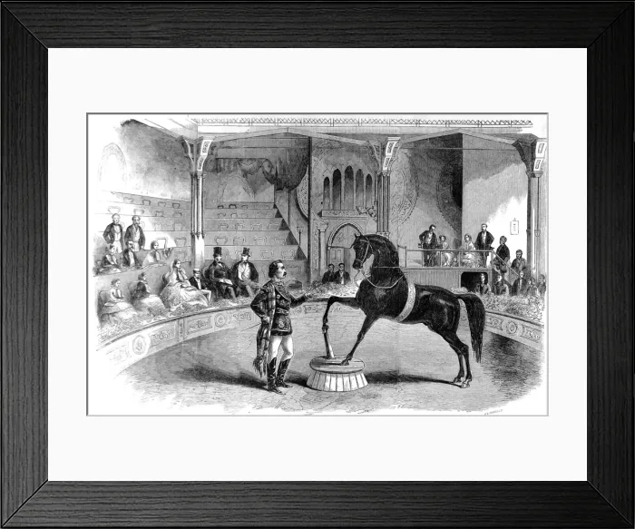 Framed Print : Black Eagle at the Great United States Circus, London, 185 Framed Print : Black Eagle at the Great United States Circus, London, 185