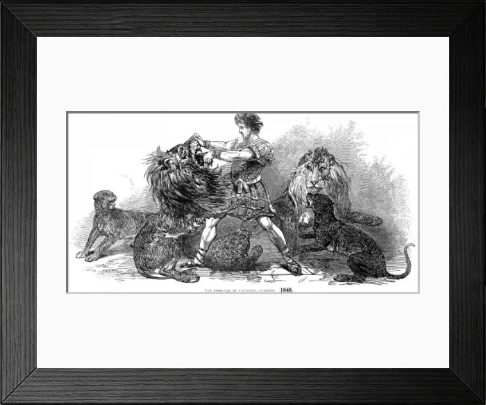Framed Print : Isaac Van Amburgh and his lions, London, 1848 Framed Print : Isaac Van Amburgh and his lions, London, 1848