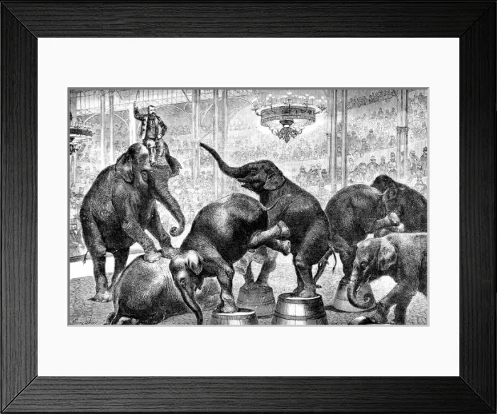 Framed Print : Performing Elephants in a Circus, 1876