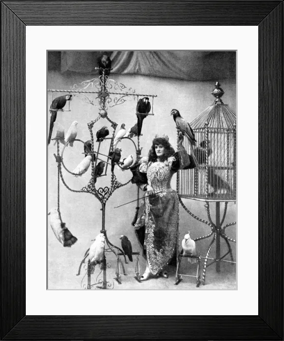 Framed Print : Madame Marzella with her pets, at the Tivoli, 1896 Framed Print : Madame Marzella with her pets, at the Tivoli, 1896