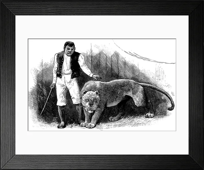 Framed Print : Circus animal trainer and his lion, 1888 Framed Print : Circus animal trainer and his lion, 1888