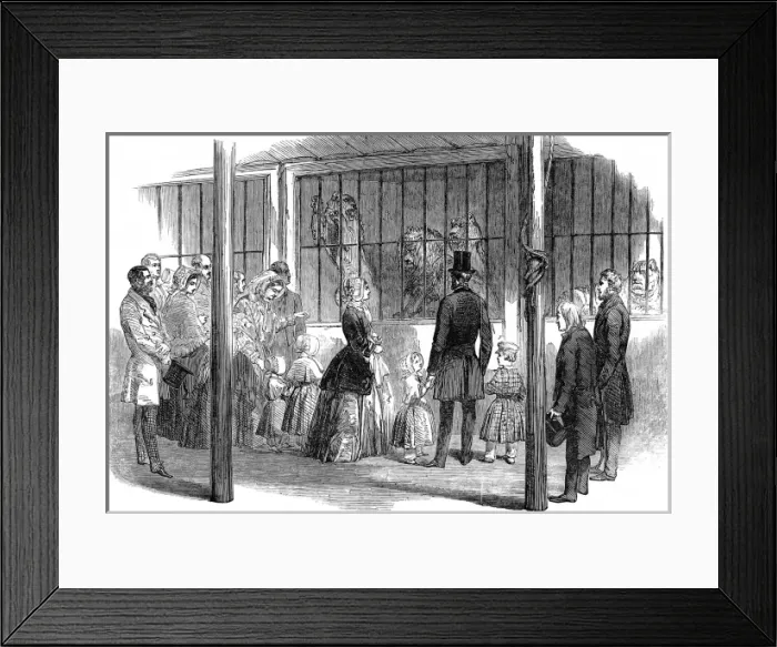 Framed Print : Queen Victoria and Prince Albert visiting Wombwells Menager Framed Print : Queen Victoria and Prince Albert visiting Wombwells Menager