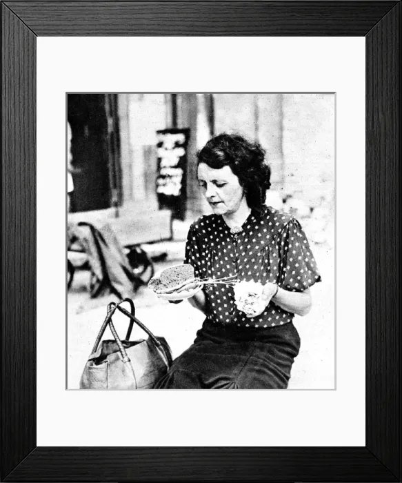 Framed Print : German woman and her daily ration, Berlin, 1945 Framed Print : German woman and her daily ration, Berlin, 1945