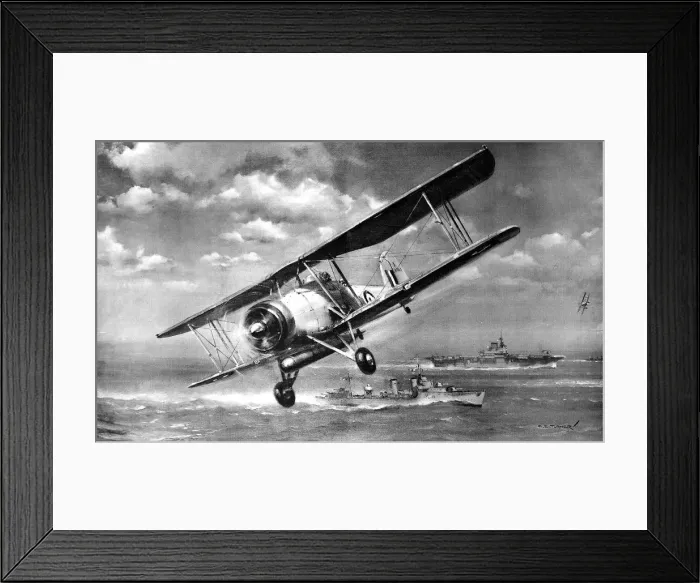 Framed Print : Fairey Swordfish Torpedo-Bomber; Second World War, 1941 Framed Print : Fairey Swordfish Torpedo-Bomber; Second World War, 1941
