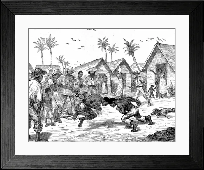 Framed Print : Head-butting fight in Venezuela, 1874 Framed Print : Head-butting fight in Venezuela, 1874