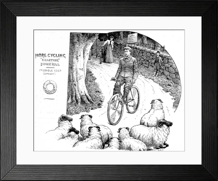 Framed Print : Victorian Cyclist encountering a flock of sheep, 1898 Framed Print : Victorian Cyclist encountering a flock of sheep, 1898