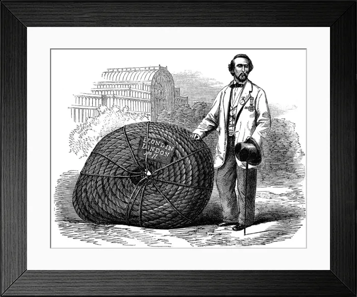 Framed Print : Blondin at the Crystal Palace, London, 1861
