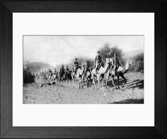 Framed Print : The German South-West Camel Corps