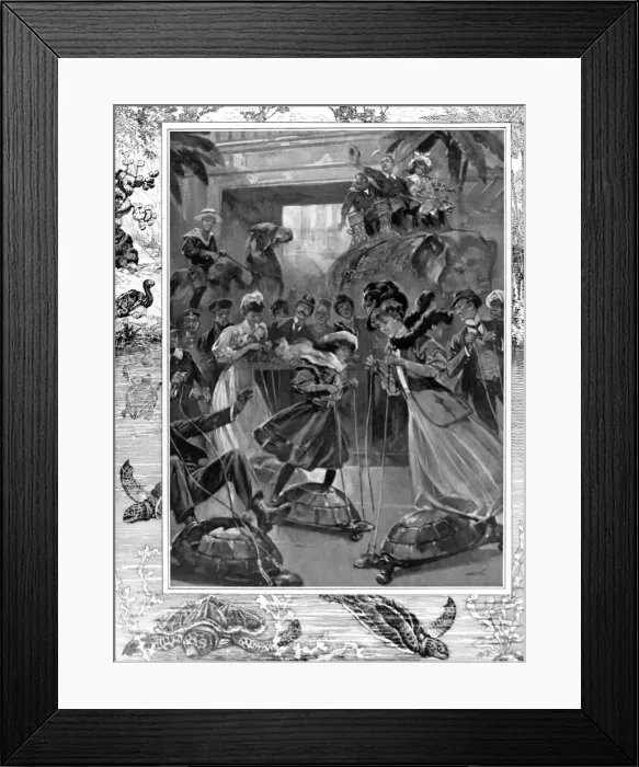 Framed Print : The Turtle Hippodrome, Earls Court, 1908 Framed Print : The Turtle Hippodrome, Earls Court, 1908
