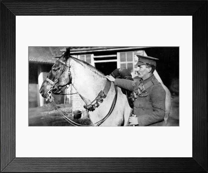 Framed Print : Cavalry chargers as extra ammunition carriers: The horses bandolier Framed Print : Cavalry chargers as extra ammunition carriers: The horses bandolier