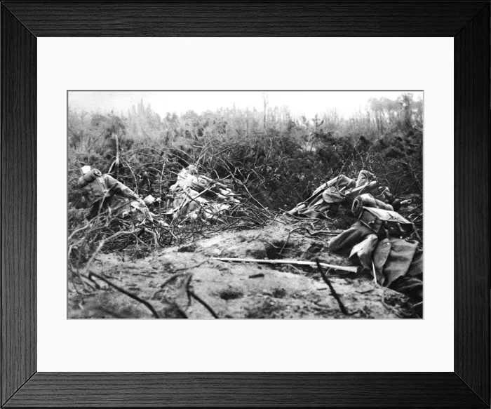 Framed Print : Men of the heroic French army who have died for European Freedom Framed Print : Men of the heroic French army who have died for European Freedom