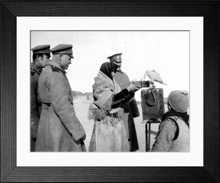 Framed Print : Russian soldiers seeking to know the future: A Gispys parakeet telling the mens fortunes Framed Print : Russian soldiers seeking to know the future: A Gispys parakeet telling the mens fortunes