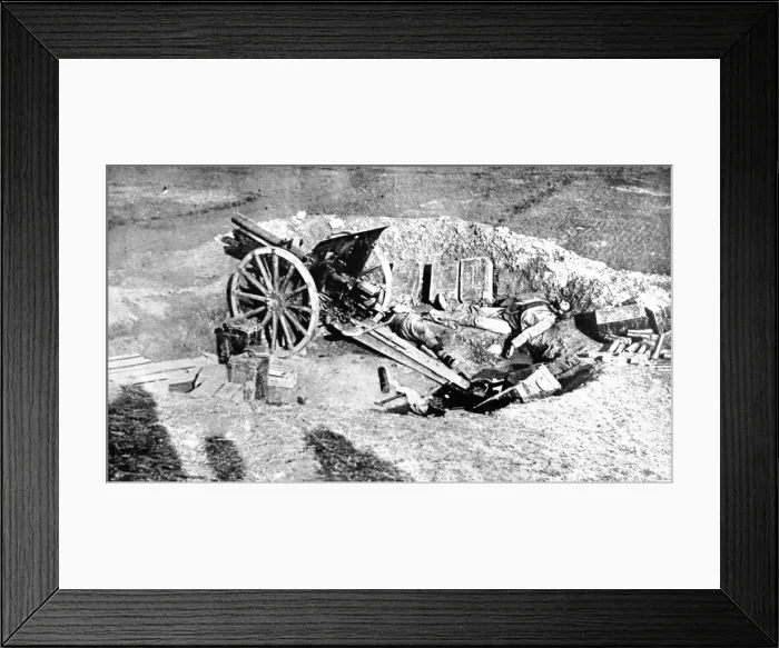 Framed Print : An abandoned field gun in the track of the Austrian army, in Serbia Framed Print : An abandoned field gun in the track of the Austrian army, in Serbia