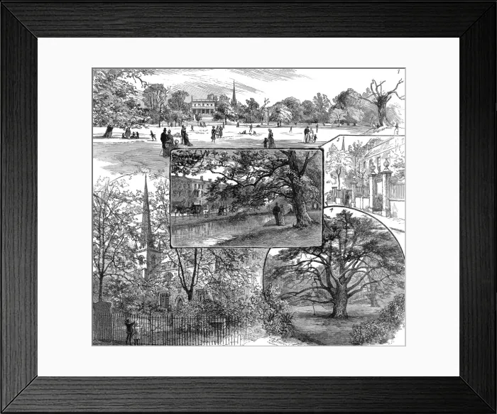 Framed Print : Clissold Park, Stoke Newington, London, 1885 Framed Print : Clissold Park, Stoke Newington, London, 1885