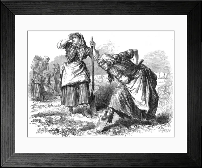 Framed Print : Women working in the fields, Roscommon, Ireland
