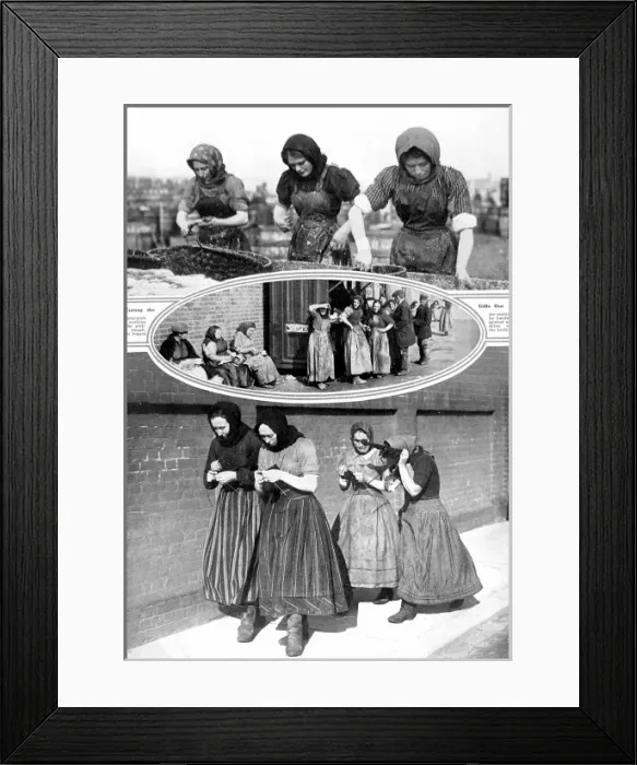 Framed Print : Herring Fleet Fisher Women, East Coast of Britain, 1913 Framed Print : Herring Fleet Fisher Women, East Coast of Britain, 1913
