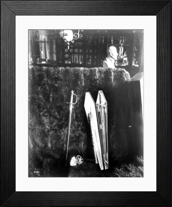 Framed Print : Swords of Napoleon and Wellington, Apsley House, 19th centur Framed Print : Swords of Napoleon and Wellington, Apsley House, 19th centur
