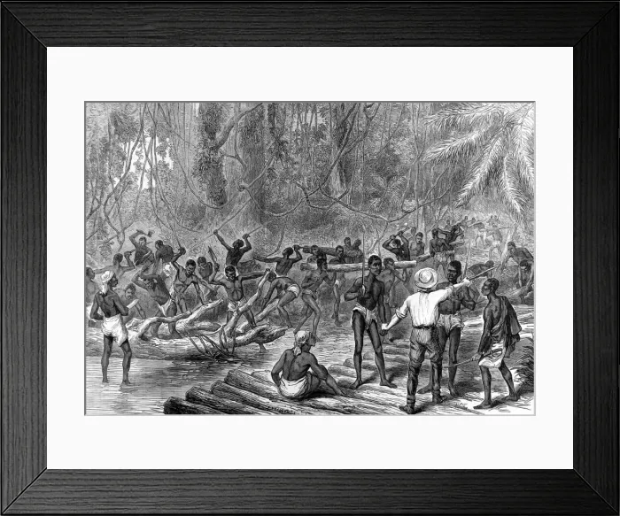 Framed Print : The Ashanti War (1873-74) - making a road to Kumasi Framed Print : The Ashanti War (1873-74) - making a road to Kumasi