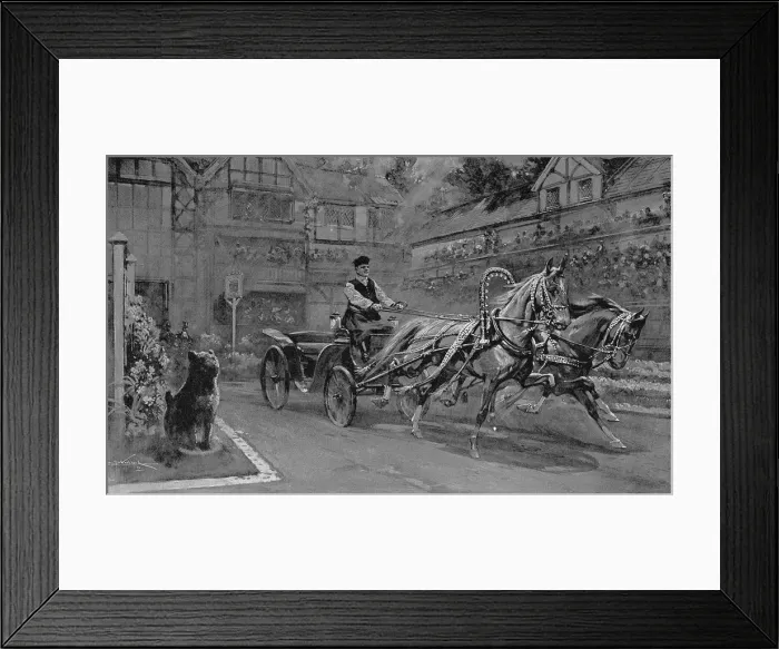 Framed Print : Russian Carriage Driving at Olympia, London, 1911 Framed Print : Russian Carriage Driving at Olympia, London, 1911