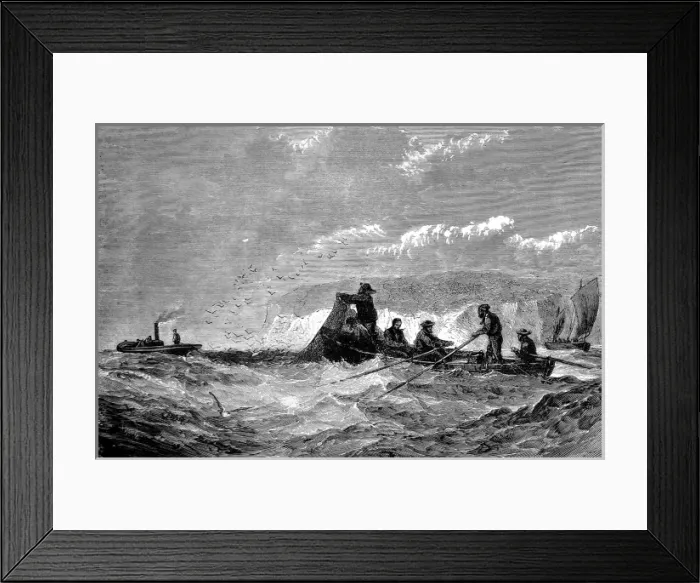 Framed Print : Fishing for Pilchards, 1871