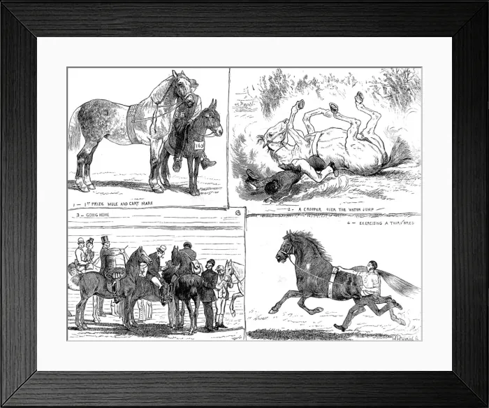 Framed Print : The Horse Show, Alexandra Park, London, 1873 Framed Print : The Horse Show, Alexandra Park, London, 1873