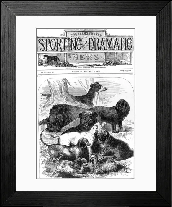 Framed Print : Prize Winning Dogs at the Alexandra Palace Show, 1876 Framed Print : Prize Winning Dogs at the Alexandra Palace Show, 1876