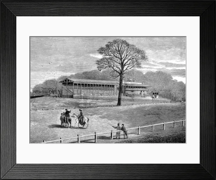 Framed Print : Sandown Park Racecourse, 1875