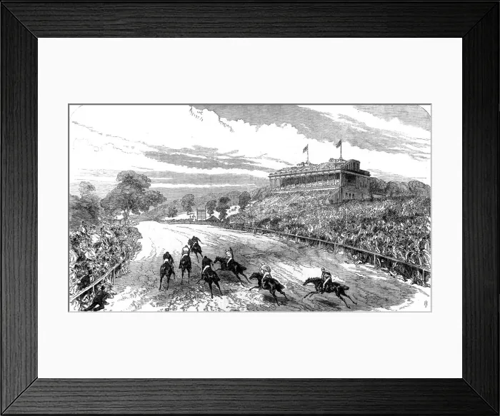 Framed Print : The Alexandra Park Races, 1868 Framed Print : The Alexandra Park Races, 1868