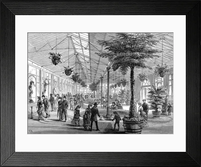 Framed Print : The Reptile House of London Zoo, 1883 Framed Print : The Reptile House of London Zoo, 1883