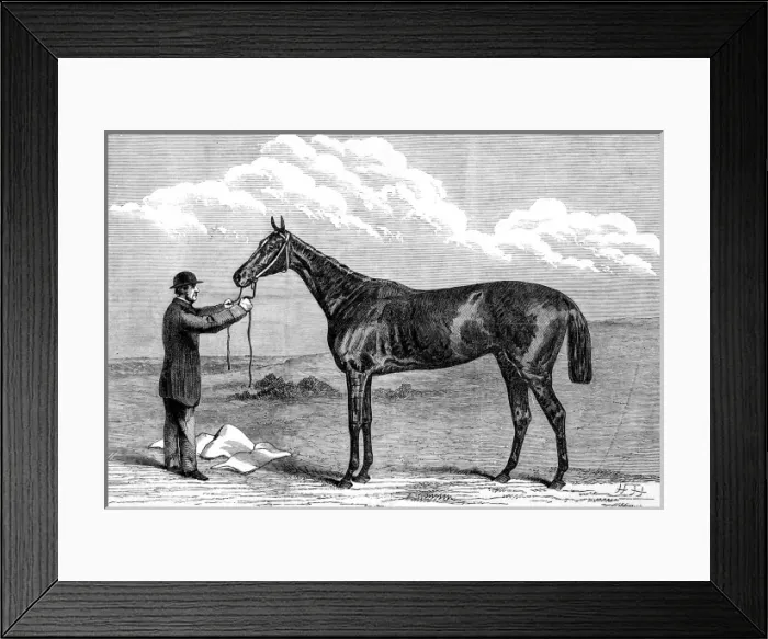 Framed Print : Hermit, winner of the 1867 Epsom Derby Framed Print : Hermit, winner of the 1867 Epsom Derby