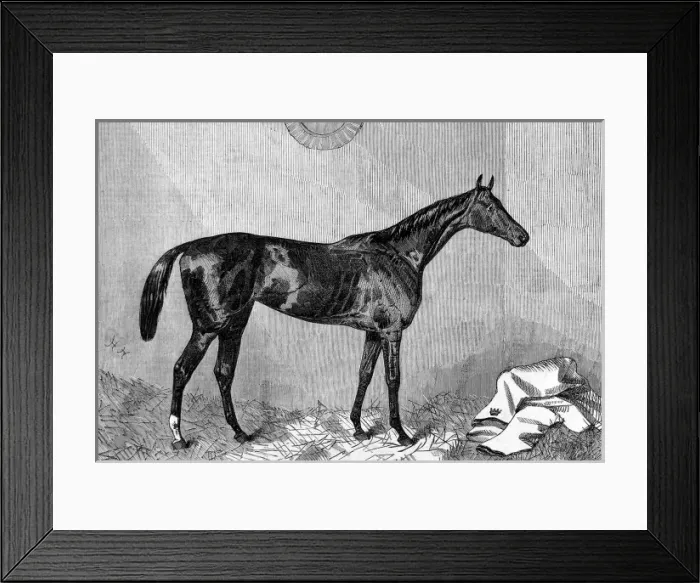 Framed Print : Hippia, winner of the 1867 Oaks