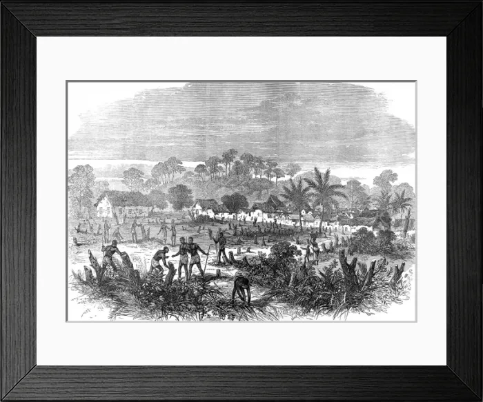 Framed Print : The Ashanti War (1873-74) The battlefield of Abrakrampa Framed Print : The Ashanti War (1873-74) The battlefield of Abrakrampa
