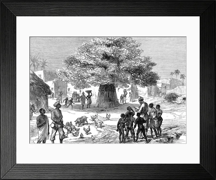 Framed Print : Fetish tree in a village near Cape Coast Castle, 1873 Framed Print : Fetish tree in a village near Cape Coast Castle, 1873