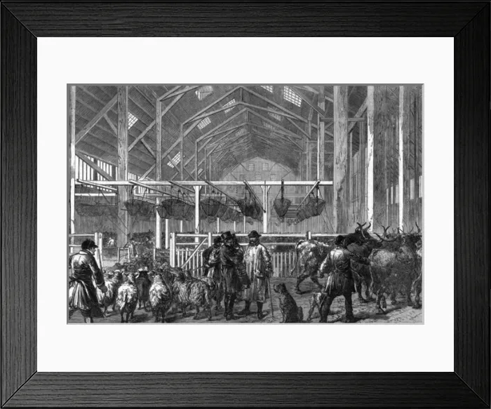 Framed Print : The Foreign Cattle Market, Deptford, London, 1872