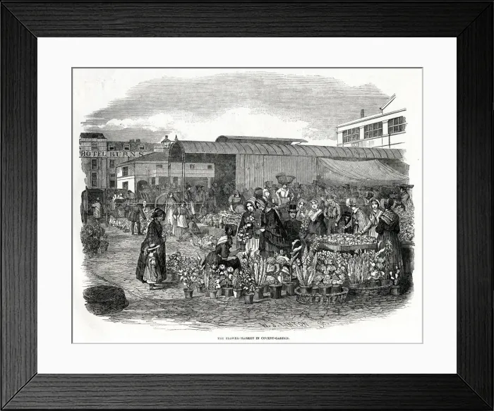 Framed Print : Flower Market in Covent Garden, London 1848 Framed Print : Flower Market in Covent Garden, London 1848