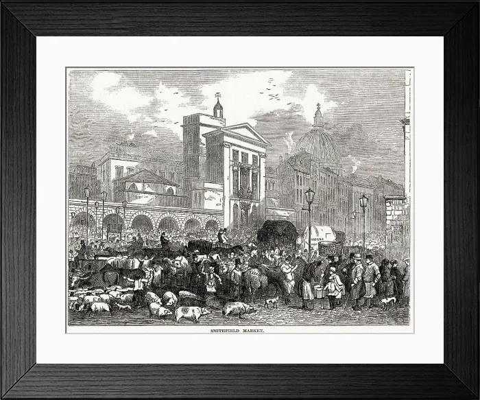 Framed Print : Exterior view of Smithfield Meat Market in London. In this busy street scene one can see sheep, pigs and cattle, on their way for sale. Date: 1848 Framed Print : Exterior view of Smithfield Meat Market in London. In this busy street scene one can see sheep, pigs and cattle, on their way for sale. Date: 1848