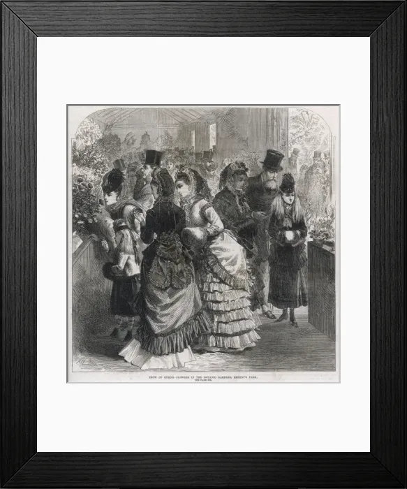 Framed Print : Flower Show in the Botanic Gardens, Regents Park, London Framed Print : Flower Show in the Botanic Gardens, Regents Park, London