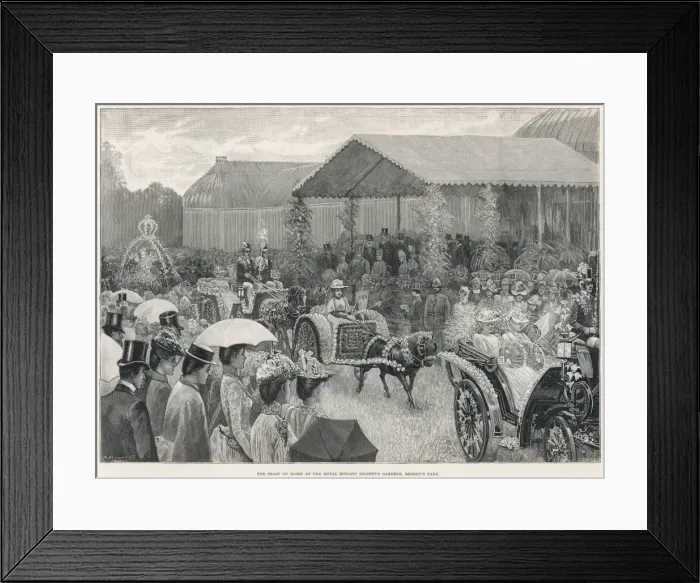 Framed Print : The Feast of Roses in Regents Park, London, 1889 Framed Print : The Feast of Roses in Regents Park, London, 1889