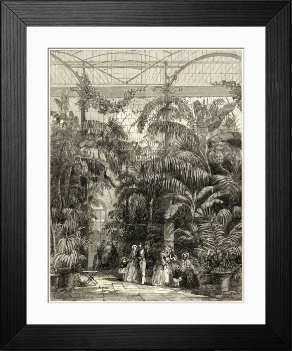 Framed Print : Interior of the Great Palm House, Kew Gardens, 1852 Framed Print : Interior of the Great Palm House, Kew Gardens, 1852
