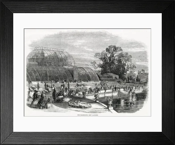 Framed Print : The Great Palm House, Kew Gardens 1859 Framed Print : The Great Palm House, Kew Gardens 1859