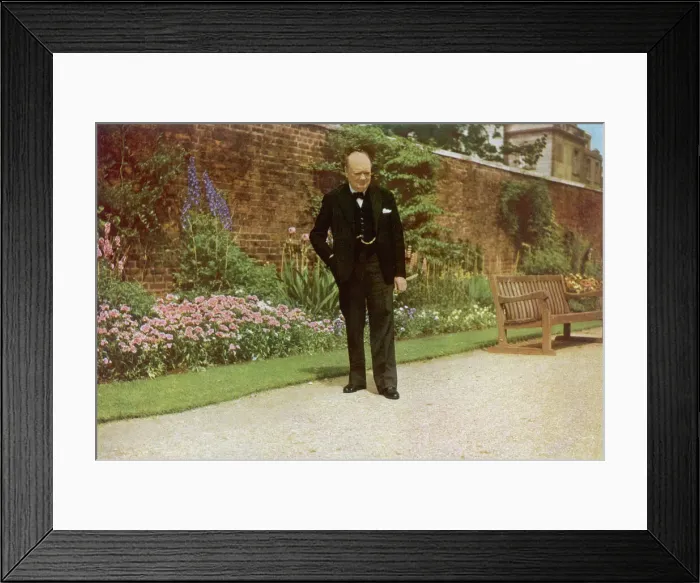 Framed Print : Portrait of Winston Churchill Framed Print : Portrait of Winston Churchill