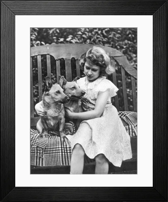 Framed Print : Princess Elizabeth of York in the garden Framed Print : Princess Elizabeth of York in the garden