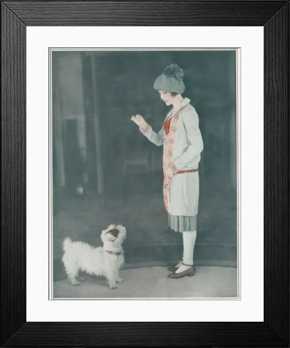 Framed Print : Princess Elizabeth of York uses the Pigeon Post Framed Print : Princess Elizabeth of York uses the Pigeon Post