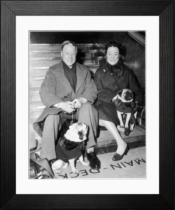 Framed Print : Duke and Duchess of Windsor with their pugs