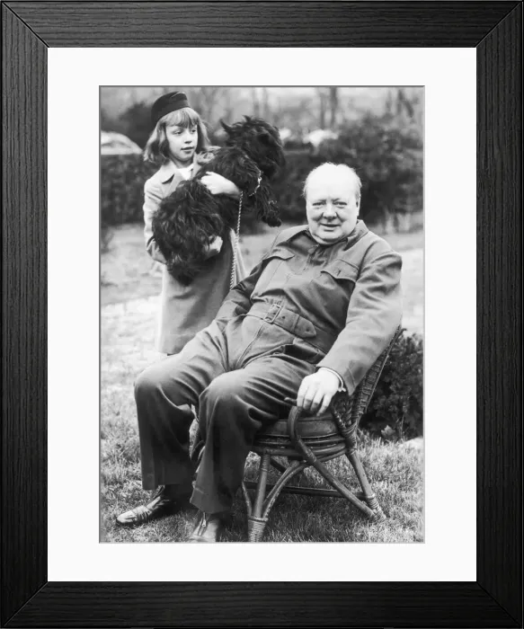 Framed Print : Winston Churchill posing in the garden of the White House