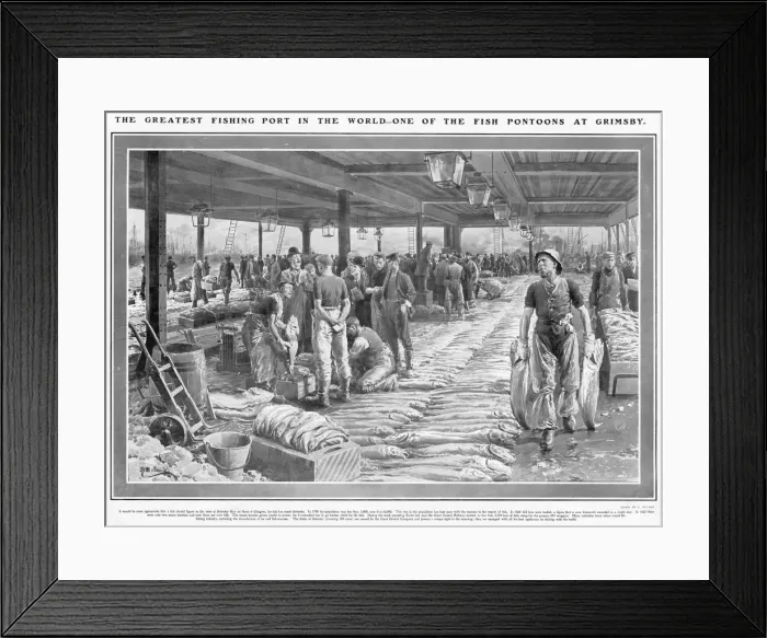 Framed Print : A Fish Pontoon at Grimsby by Fortunio Matania Framed Print : A Fish Pontoon at Grimsby by Fortunio Matania